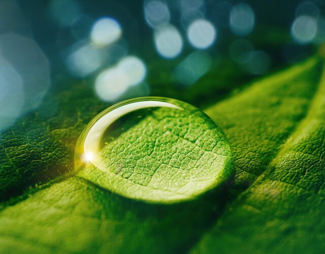  ESG oversight and governance Coolworld rentals