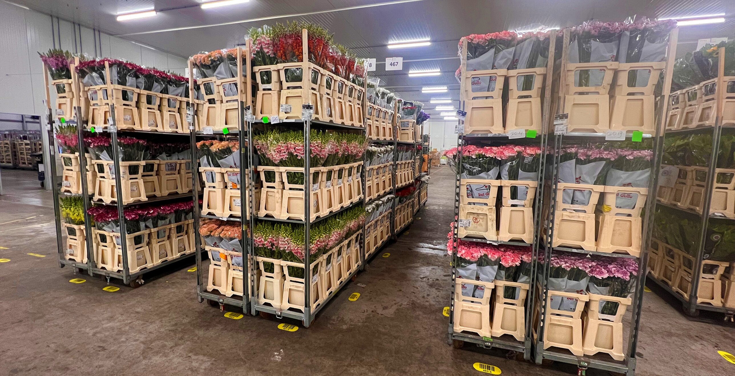 Bloemenimporteur Coloríginz vertrouwt op huurkoeling voor een soepel logistiek proces — projectafbeelding 2
