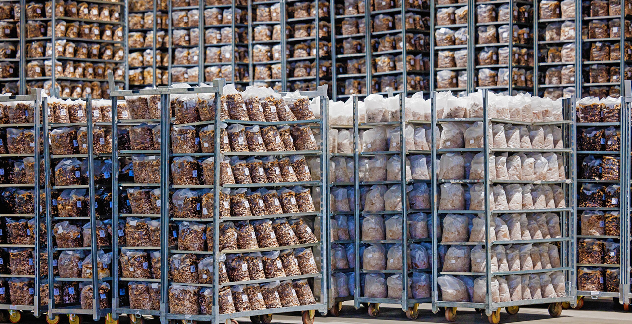 CNC Exotic Mushrooms komt piekperiode zorgeloos door dankzij flexibele koeloplossing van Coolworld — projectafbeelding 2