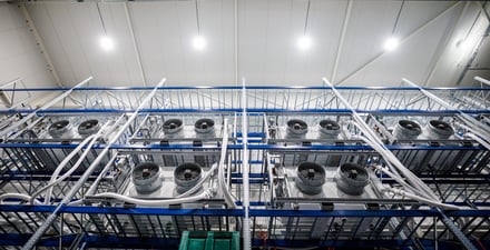 Low temp huurchillers als flexibele overbrugging bij vertraging nieuwbouw — projectafbeelding 1