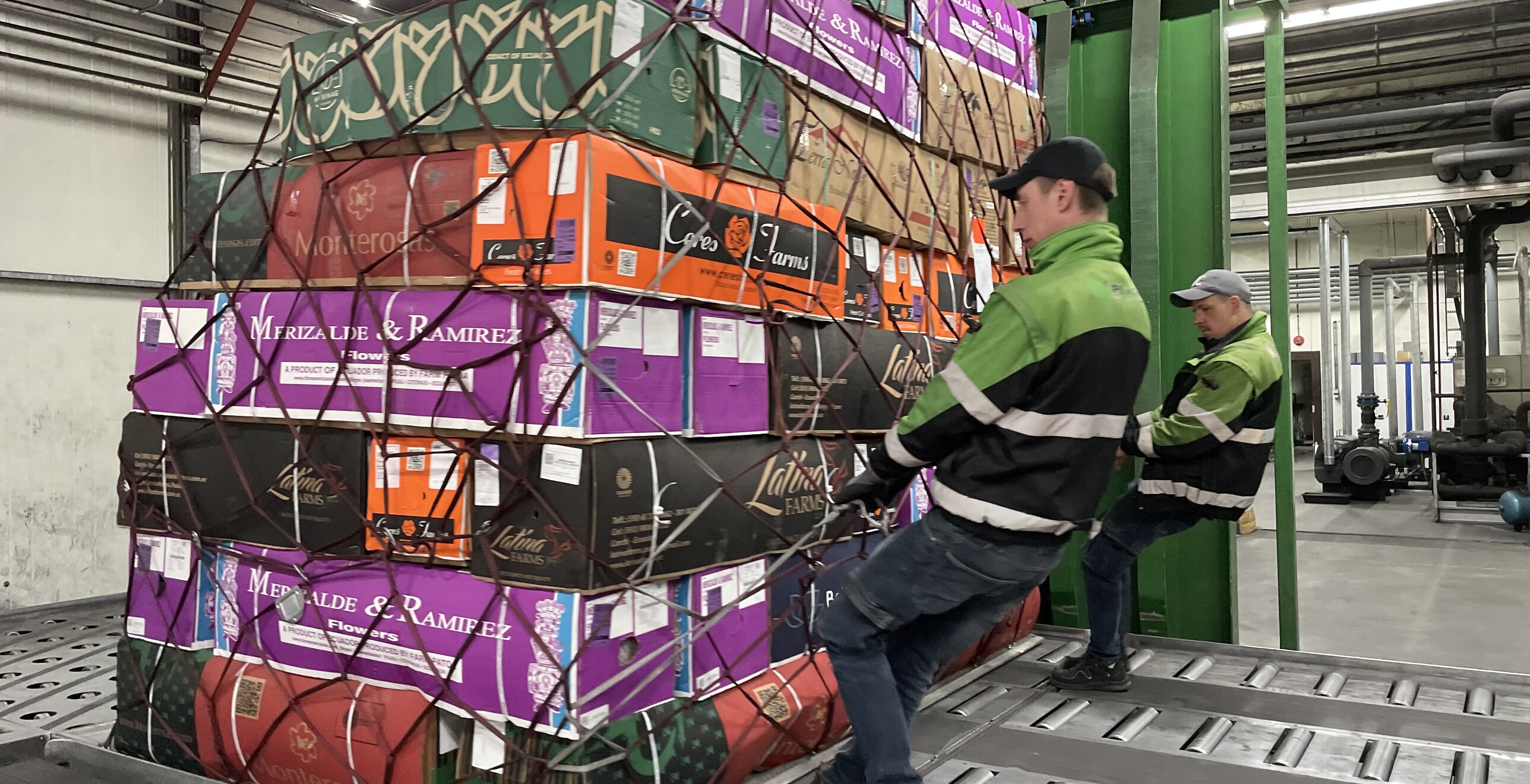 Réfrigération fiable à grande échelle pour le stockage des fleurs — image du projet 9