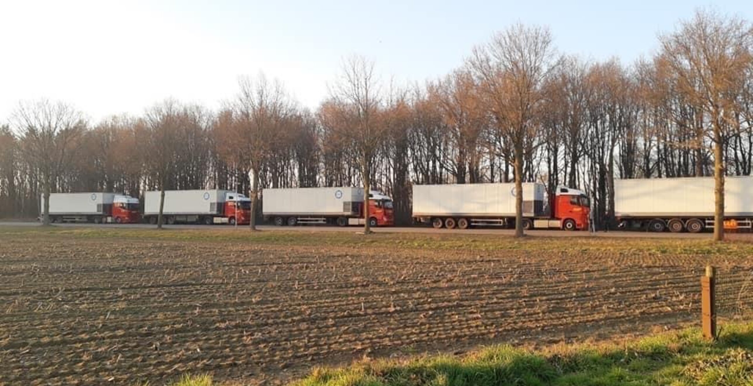 Augmentation des capacités dans la région du Bas-Rhin : solution temporaire de réfrigération pour le stockage des denrées alimentaires — image du projet 2
