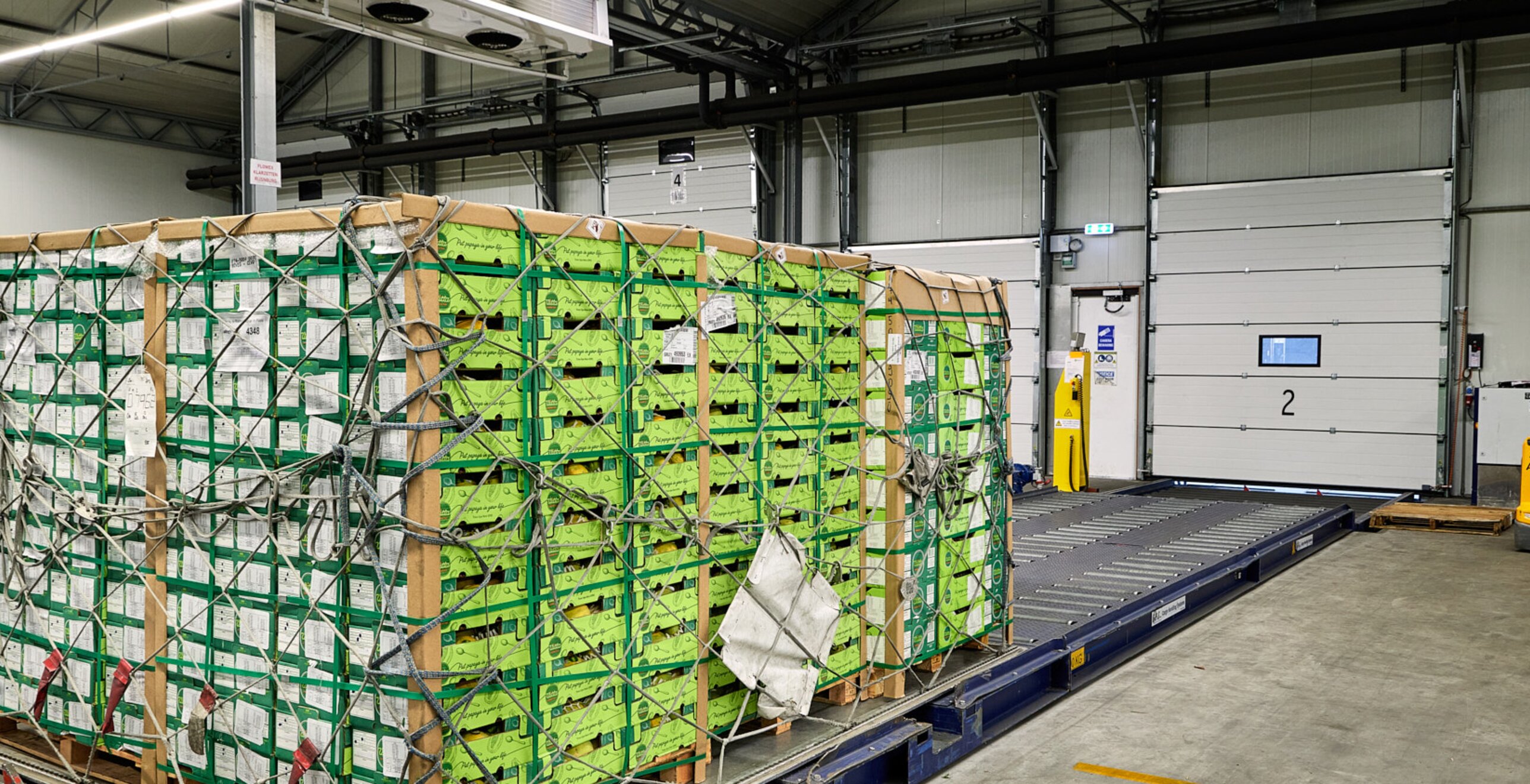 Réfrigération fiable à grande échelle pour le stockage des fleurs — image du projet 3