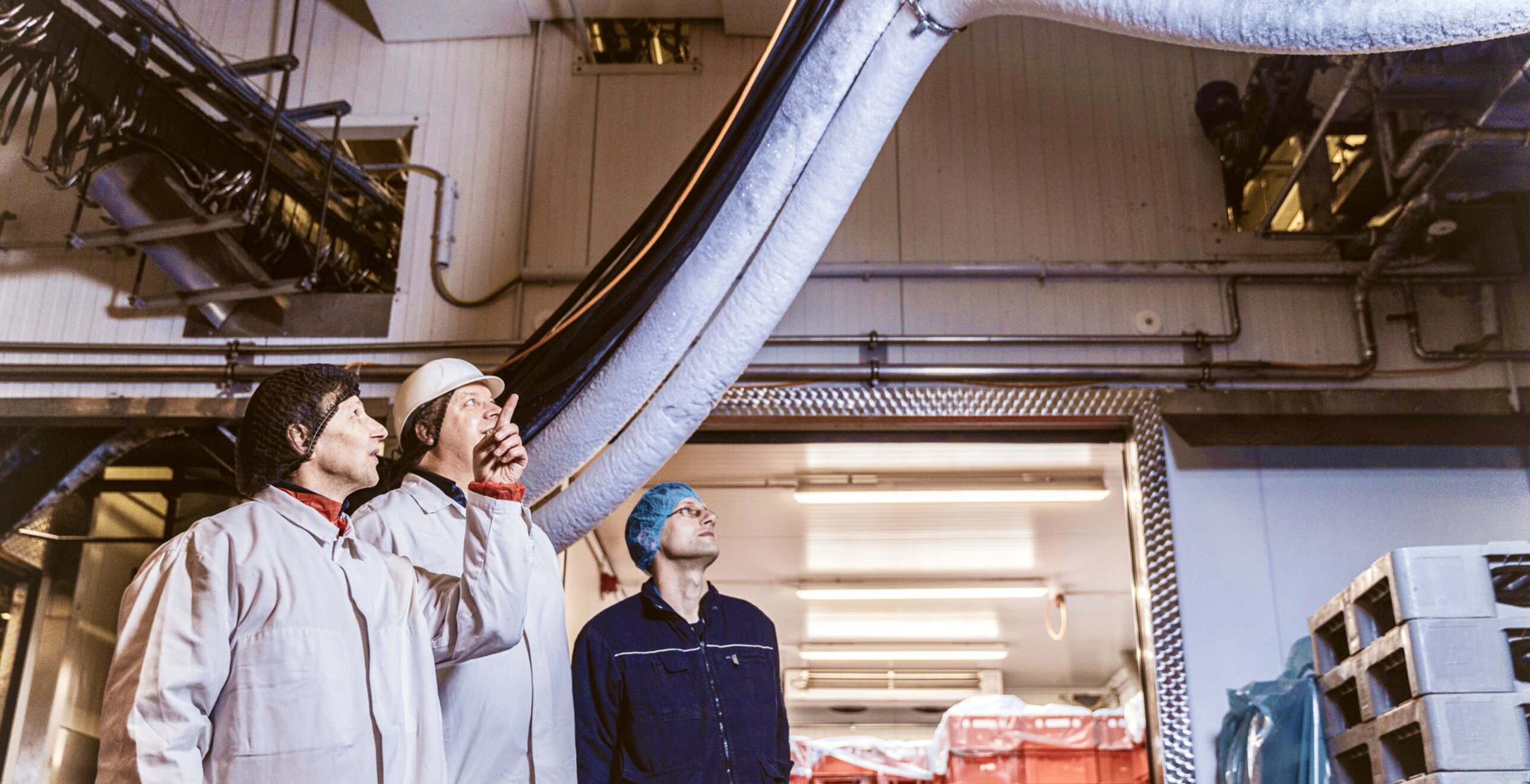 Regardez la vidéo maintenant&nbsp;: Coolworld soutient l’abattoir BMR avec une climatisation d’appoint pendant la phase de rénovation — visuel du projet 4