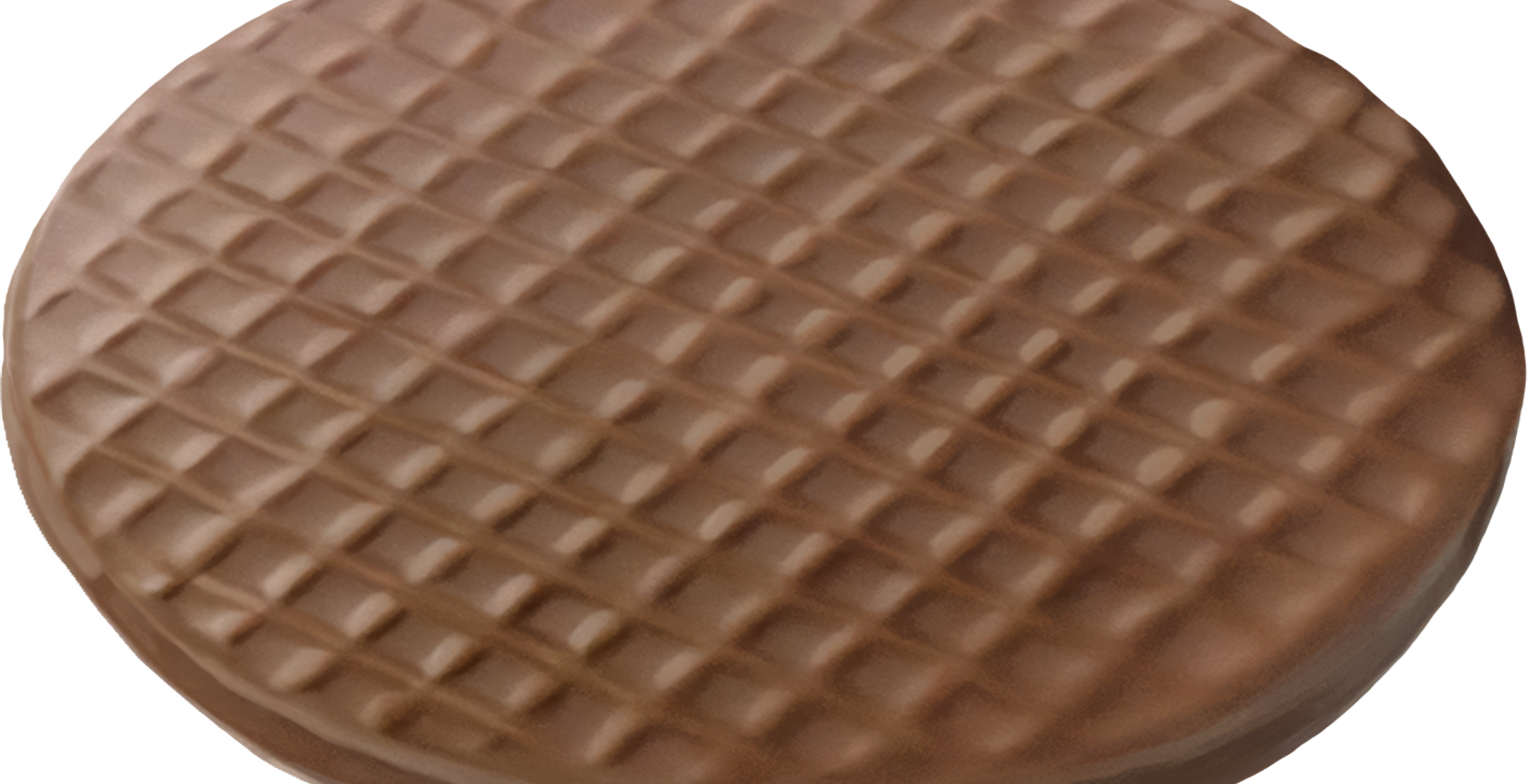 Tempereercellen voor perfect geharde chocolade stroopwafels — projectafbeelding 4