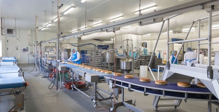 Die Zukunft der nachhaltigen und umweltbewussten Lebensmittelproduktion