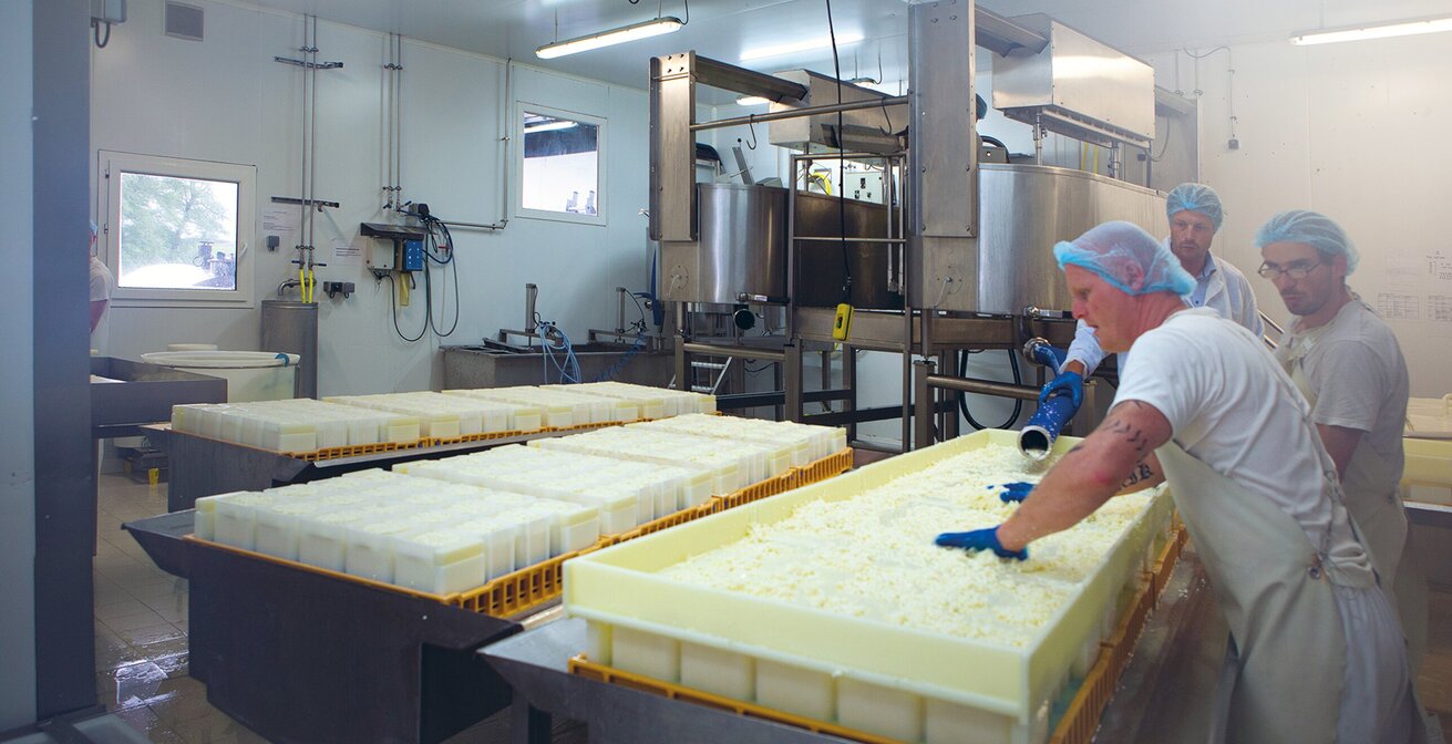 Renting portable cold storage units provides the flexibility that artisanal production businesses need