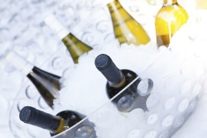 Benefits of Blast Freezers Benefits of Blast Freezers